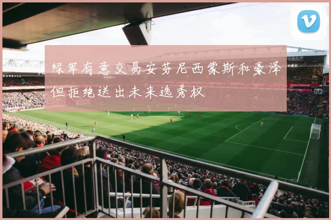 绿军有意交易安芬尼西蒙斯和豪泽但拒绝送出未来选秀权