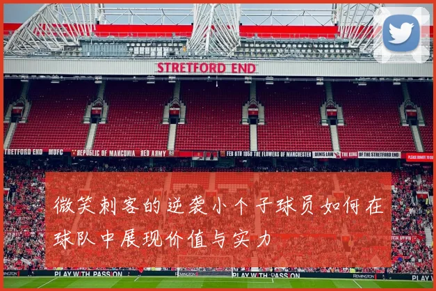 微笑刺客的逆袭小个子球员如何在球队中展现价值与实力
