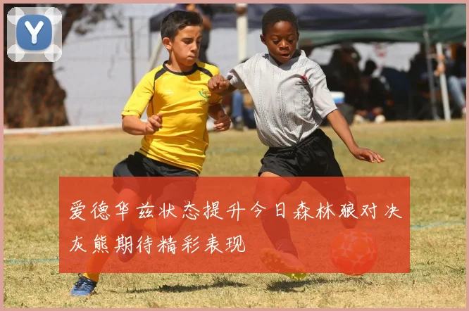 爱德华兹状态提升今日森林狼对决灰熊期待精彩表现