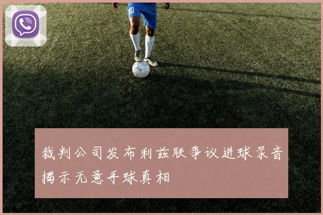 裁判公司发布利兹联争议进球录音揭示无意手球真相