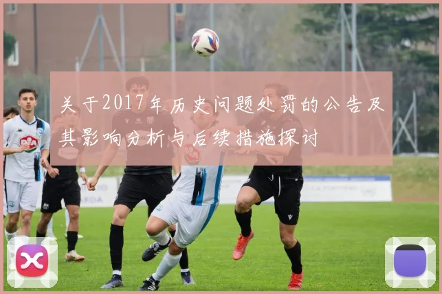 关于2017年历史问题处罚的公告及其影响分析与后续措施探讨