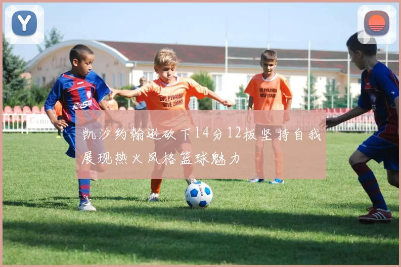 凯沙约翰逊砍下14分12板坚持自我展现热火风格篮球魅力